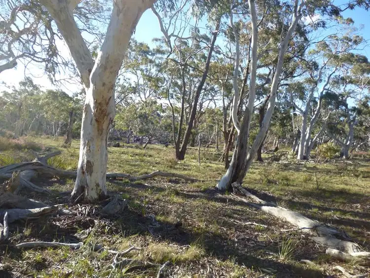 Fourth view of Homely rural property listing, 86 Paddy's Cl, Lower Boro NSW 2580