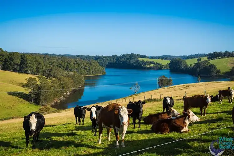 Seventh view of Homely rural property listing, Lot 201 Princes Hwy, Corunna NSW 2546