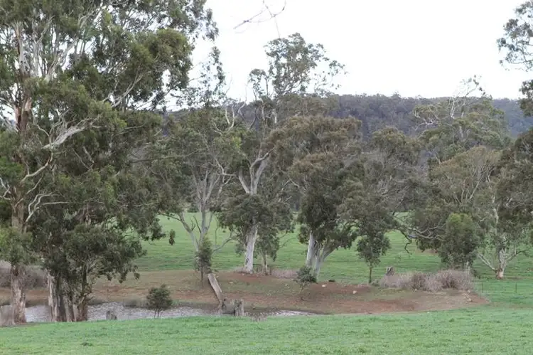 Second view of Homely rural property listing, 663 Caoura Rd, Tallong NSW 2579