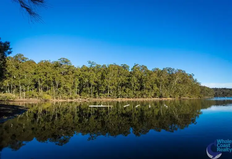 Sixth view of Homely rural property listing, 100 Hobbs Point Rd, Narooma NSW 2546