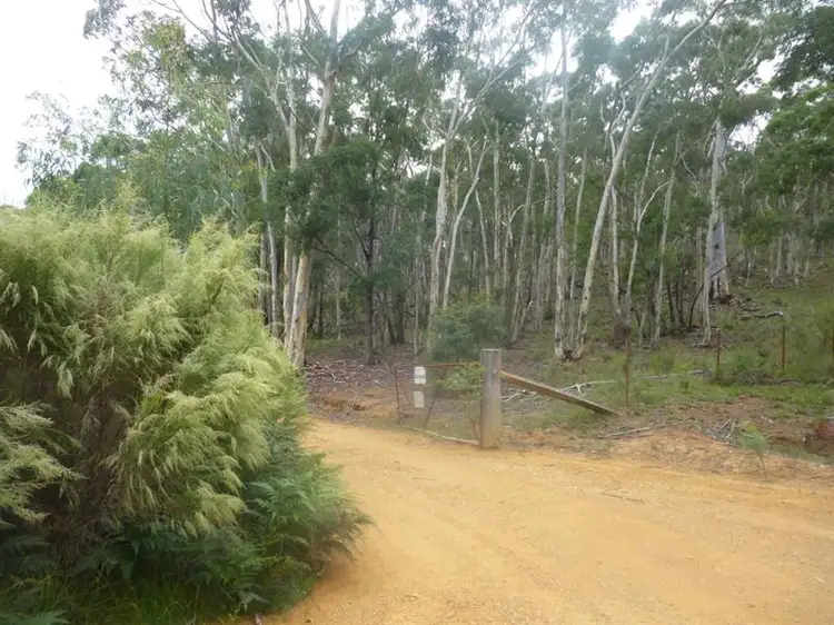 Main view of Homely rural property listing, 8170 Nerriga Rd, Tomboye NSW 2622