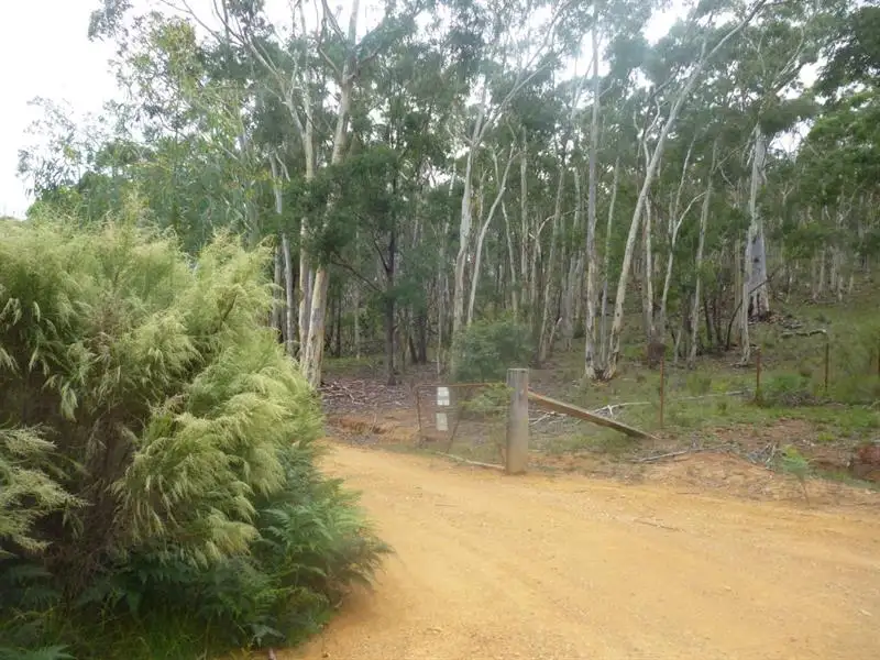 Main view of Homely rural property listing, 8170 Nerriga Rd, Tomboye NSW 2622