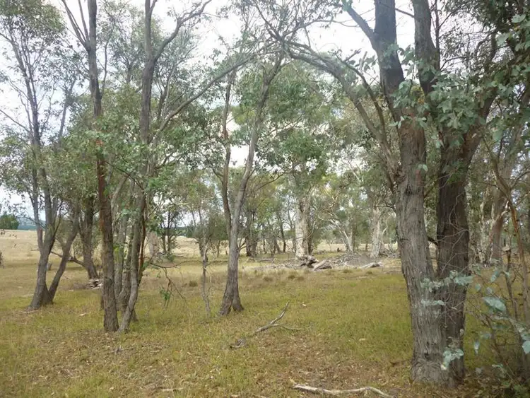 Second view of Homely rural property listing, 2341 Mayfield Rd, Tarago NSW 2580