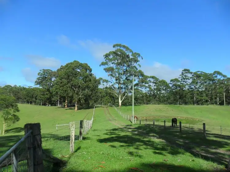 Second view of Homely rural property listing, 322 Hubbards Nth Rd, Pacific Palms NSW 2428
