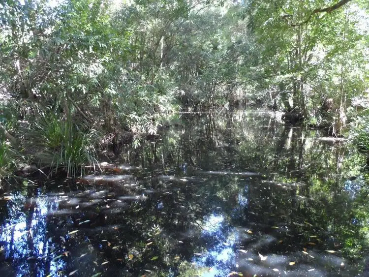 Second view of Homely rural property listing, 118 Curreeki Creek Rd, Coolongolook NSW 2423