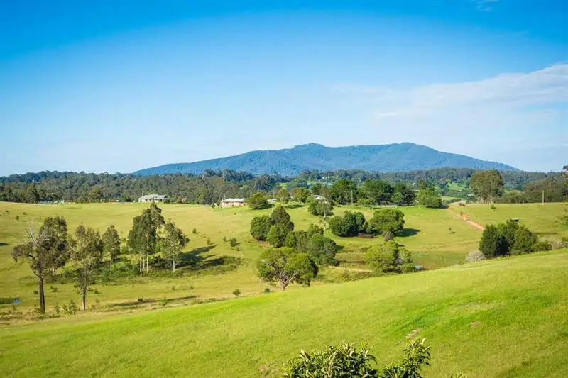 Main view of Homely land listing, 61 Wonga Rd, Narooma NSW 2546