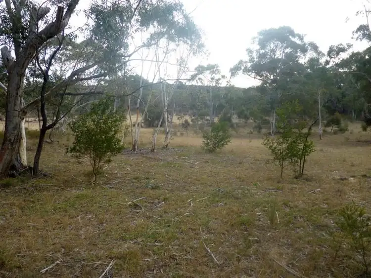 Fifth view of Homely rural property listing, 1533 Sandy Point Rd, Mayfield NSW 2580