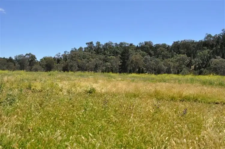 Fourth view of Homely rural property listing, 101R Old Mendooran Rd, Dubbo NSW 2830