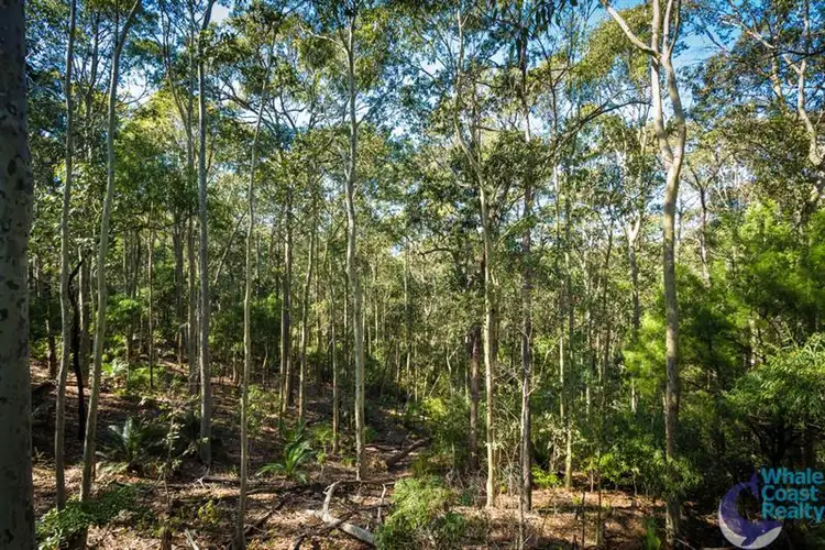 Fifth view of Homely land listing, 50 Woodlands Dr, Narooma NSW 2546