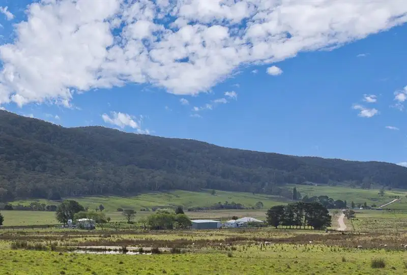 Main view of Homely rural property listing, 1242 Jerrabattgulla Rd, Braidwood NSW 2622
