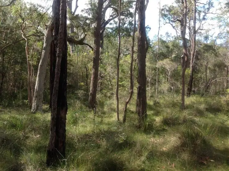 Second view of Homely rural property listing, 107 Burdekins Rd, Bulahdelah NSW 2423