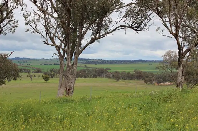 Main view of Homely land listing, 692 Ponto Falls Rd, Maryvale NSW 2820