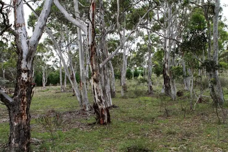 Second view of Homely land listing, 511 Mulwaree Dr, Tallong NSW 2579