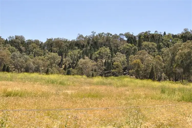 Second view of Homely rural property listing, 101R Old Mendooran Rd, Dubbo NSW 2830