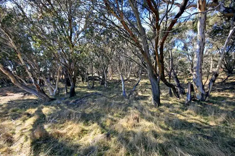 Fourth view of Homely rural property listing, 11 Marsh Lane, Jindabyne NSW 2627