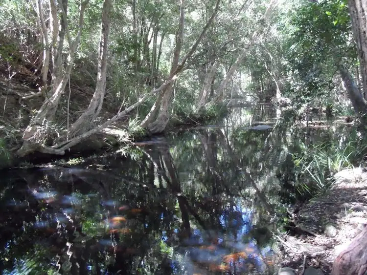 Third view of Homely rural property listing, 118 Curreeki Creek Rd, Coolongolook NSW 2423