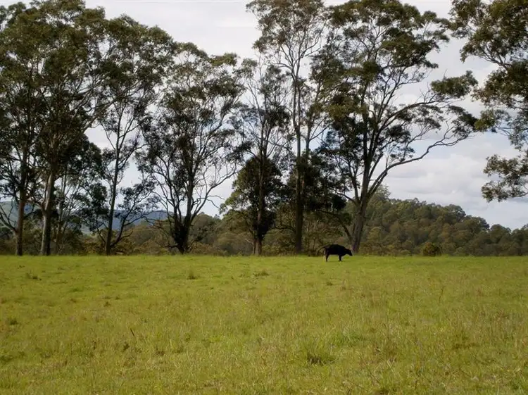 Fifth view of Homely rural property listing, 193 Wyses Rd, Bunyah NSW 2429