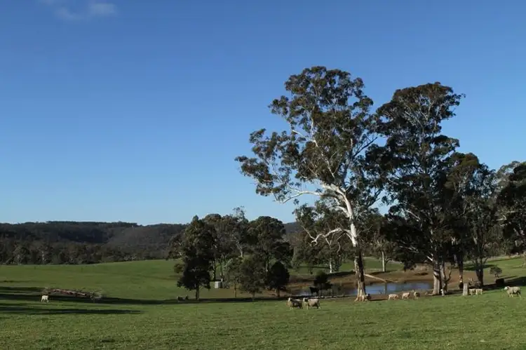 Sixth view of Homely rural property listing, 663 Caoura Rd, Tallong NSW 2579