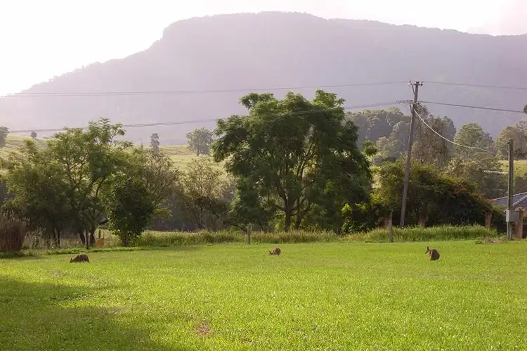 Second view of Homely rural property listing, 128 Gungas Rd, Nimbin NSW 2480