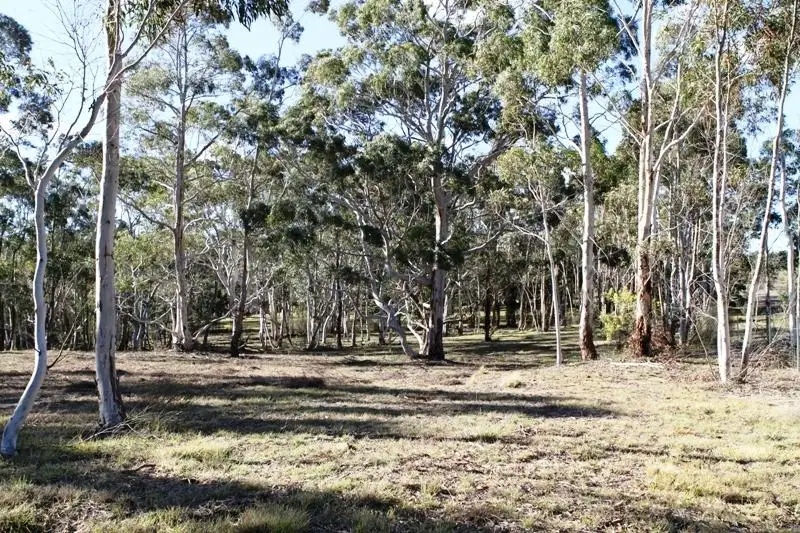 Main view of Homely land listing, Lot 165 Mulwarre  Dr, Tallong NSW 2579