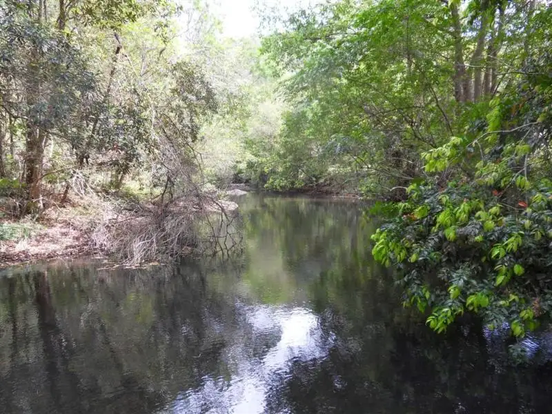 Main view of Homely rural property listing, Address available on request
