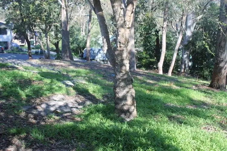 Third view of Homely land listing, 45 James Scott Cres, Lemon Tree Passage NSW 2319