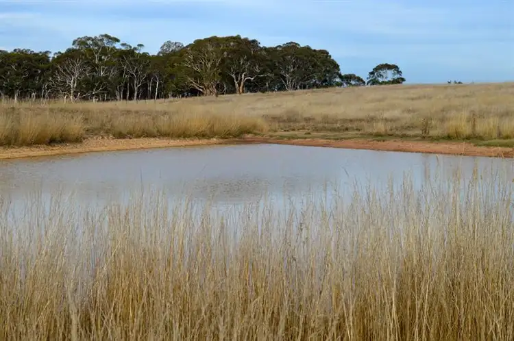 Sixth view of Homely rural property listing, 28 Hush Rd, Windellama NSW 2580