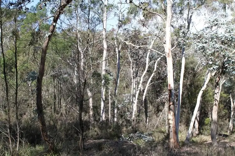 Third view of Homely land listing, 74 Mulwaree Dr, Tallong NSW 2579