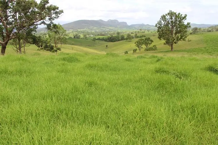 Fifth view of Homely rural property listing, 879 Thunderbolts Way, Gloucester NSW 2422