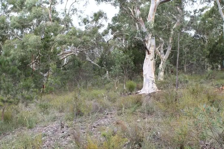 Second view of Homely land listing, Lot 111 Grevillea Cl, Tallong NSW 2579