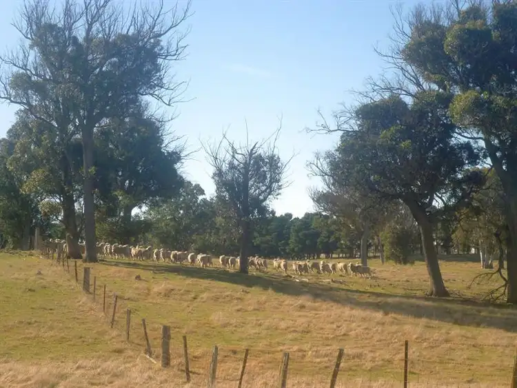 Main view of Homely rural property listing, 49 Coolabah Rd, Bungonia NSW 2580