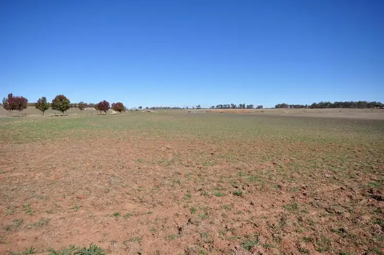 Seventh view of Homely rural property listing, 75 Whiley Rd, Orange NSW 2800