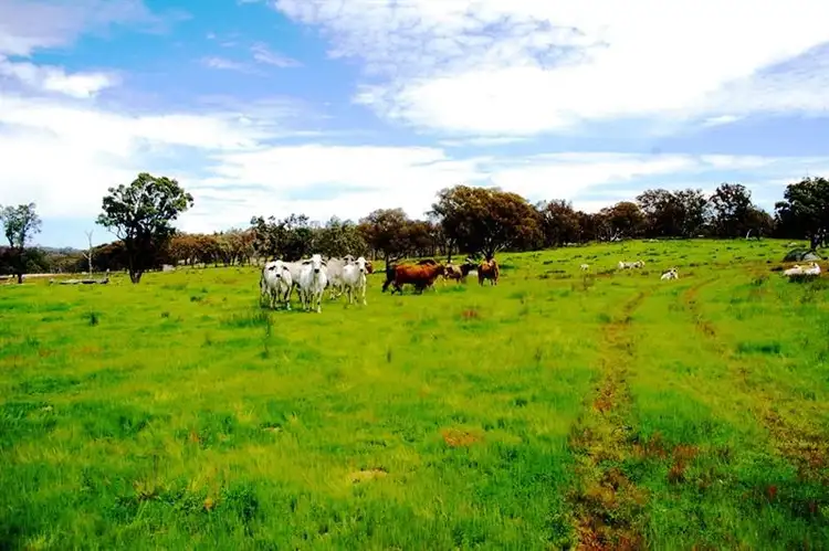 Third view of Homely rural property listing, 1015 Barraba Rd, Bundarra NSW 2359