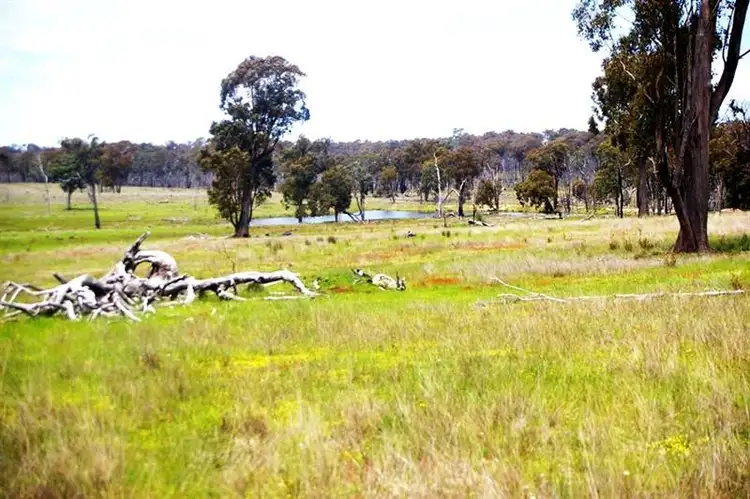 Fifth view of Homely rural property listing, 1015 Barraba Rd, Bundarra NSW 2359