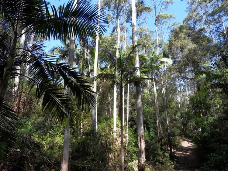 Fifth view of Homely rural property listing, Lot 4 Newmans Rd, Wootton NSW 2423