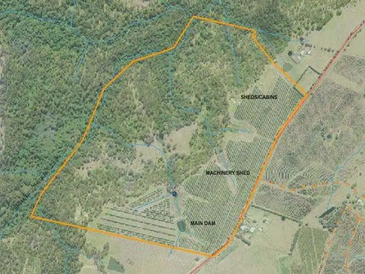 Seventh view of Homely rural property listing, 1172 Bulmers Rd, Hogarth Range NSW 2469