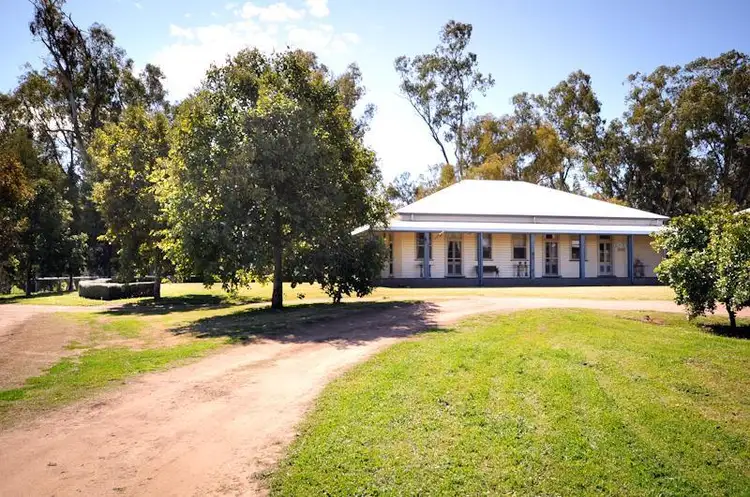 Main view of Homely rural property listing, 1094 Warren Rd, Narromine NSW 2821