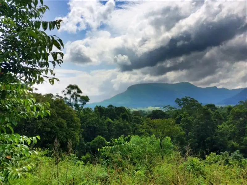 Main view of Homely land listing, 7/345 Tuntable Falls Rd, Nimbin NSW 2480