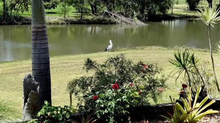 19 Baumea Ct, Elanora QLD 4221