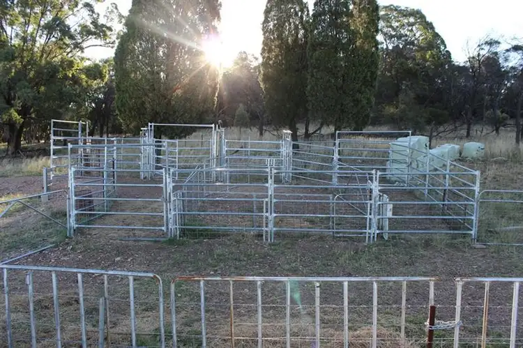 Fifth view of Homely rural property listing, 19 Patrick Rd, Dunedoo NSW 2844