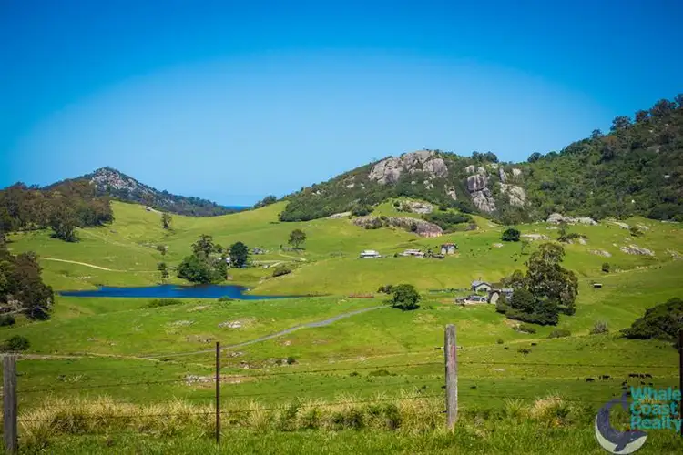Sixth view of Homely house listing, 321 Punkalla Tilba Rd, Central Tilba NSW 2546