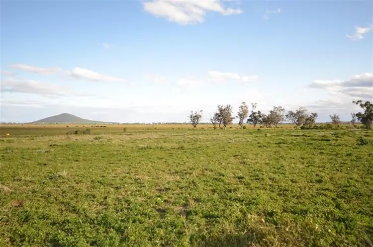 Fifth view of Homely rural property listing, 4560 Grain Valley Rd, Boggabri NSW 2382