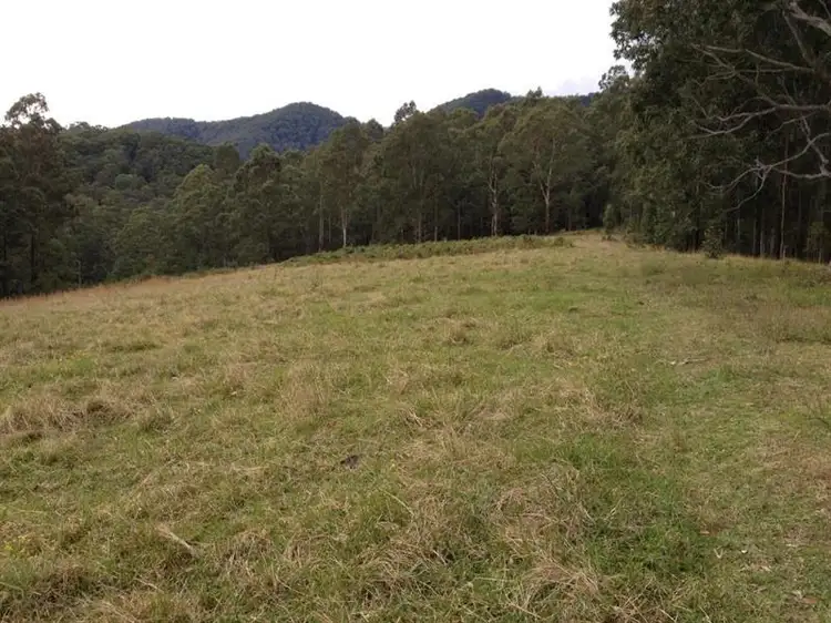 Fifth view of Homely rural property listing, 1139 Lawlers Creek Rd, Gloucester NSW 2422