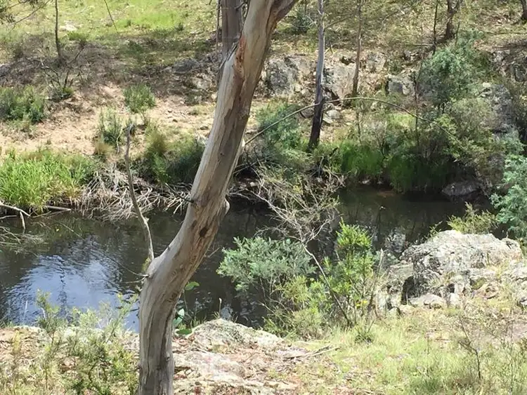 Fourth view of Homely rural property listing, 114 Hereford Hall Rd, Braidwood NSW 2622