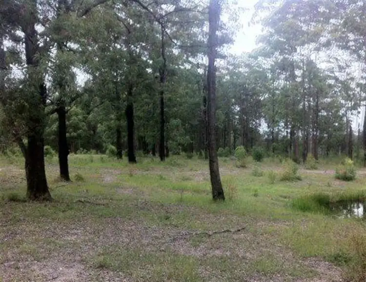 Second view of Homely rural property listing, Lot 4 Sec2 Breckenridge St, The Branch NSW 2425