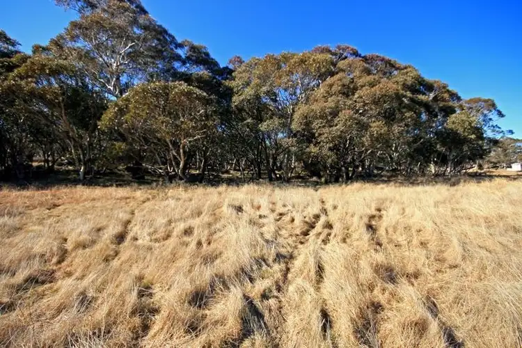 Third view of Homely rural property listing, 11 Marsh Lane, Jindabyne NSW 2627