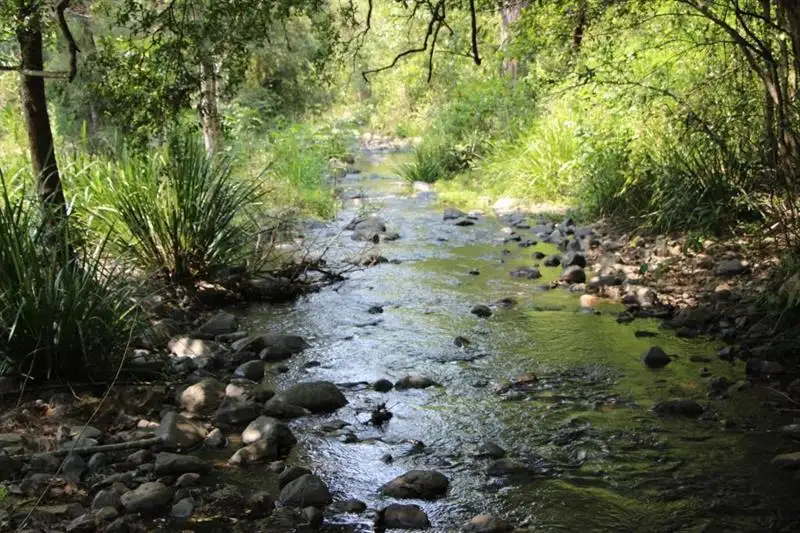 Main view of Homely rural property listing, 3898 Thunderbolts  Way, Gloucester NSW 2422