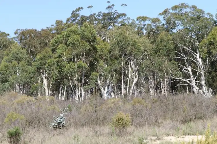 Fourth view of Homely land listing, 33 Dorsett Rd, Marulan NSW 2579