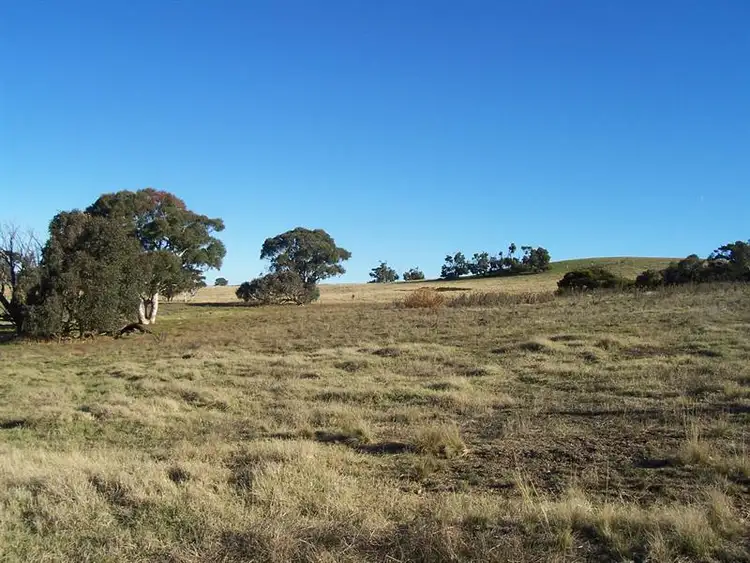 Second view of Homely rural property listing, 116 Lakeview Rd, Tarago NSW 2580