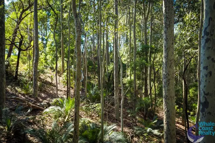 Fourth view of Homely land listing, 50 Woodlands Dr, Narooma NSW 2546